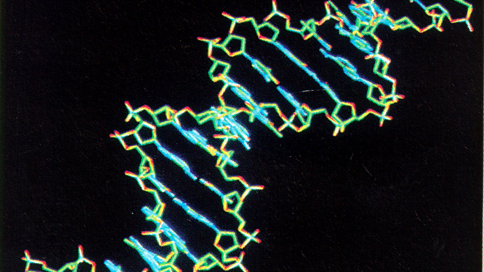 Tumori, accertata la superiorità delle terapie personalizzate