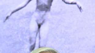 Netflix rilancia i dubbi sull'autore di Napalm Baby