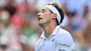 Wimbledon: Rybakina au rendez-vous, Ruud d&eacute;&ccedil;oit encore