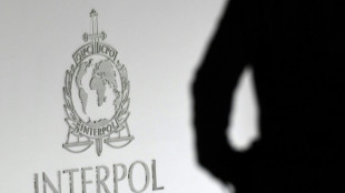 Veinte detenidos en un operativo internacional contra la pornografía infantil