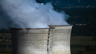S&ucirc;ret&eacute; nucl&eacute;aire: suspense &agrave; l'Assembl&eacute;e pour une r&eacute;forme d&eacute;cri&eacute;e