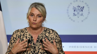 Le gouvernement tente de relancer la "grande cause" de la sant&eacute; mentale