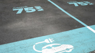Las ventas de coches el&eacute;ctricos superan a las de di&eacute;sel en Europa