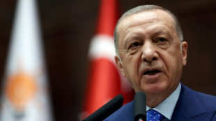 Erdogan telefoniert am Samstag mit Nato-Generalsekret&auml;r Stoltenberg