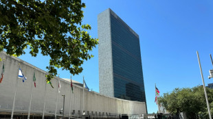 Tratado contra la cibercriminalidad en la recta final en la ONU pese a cr&iacute;ticas