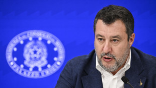 Salvini, io non pagherei per avere la targa personalizzata