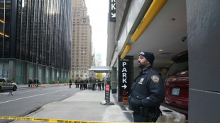 Le patron d'un g&eacute;ant de l'assurance sant&eacute; tu&eacute; par balle &agrave; New York (m&eacute;dias)