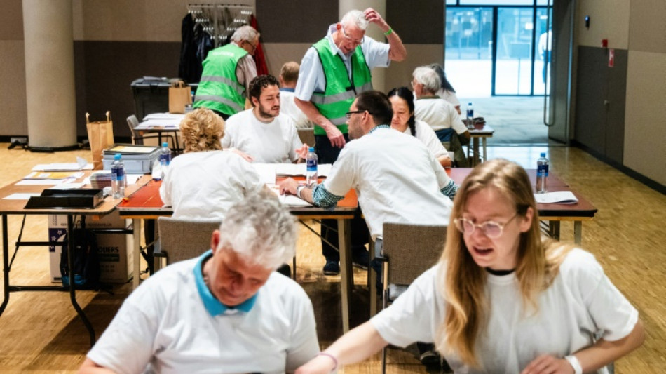 Europ&eacute;ennes: Irlandais et Tch&egrave;ques aux urnes, gains de l'extr&ecirc;me droite n&eacute;erlandaise