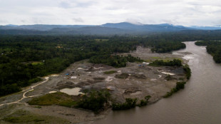 Tribunales y selva, los dos frentes de la batalla contra la miner&iacute;a en la Amazon&iacute;a de Ecuador