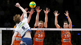 Volleyball: L&uuml;neburger Champions-League-Coup in Berlin