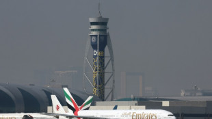Le trafic de passagers a doubl&eacute; &agrave; Duba&iuml;, "&eacute;norme croissance" du march&eacute; russe