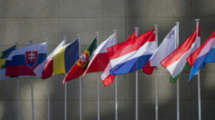Finanzminister der Eurogruppe treffen sich zu Beratungen in Luxemburg