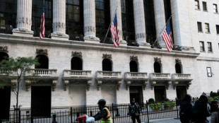 Wall Street baisse dans l'attente des derniers r&eacute;sultats des &eacute;lections au Congr&egrave;s