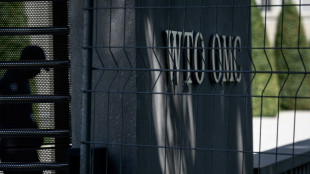 La OMC rechaza aranceles retaliatorios de China por grav&aacute;menes de EEUU al acero y el aluminio