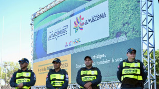 Au Br&eacute;sil, un sommet r&eacute;gional pour sauver l'Amazonie