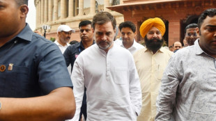En Inde, l'opposant Rahul Gandhi rena&icirc;t de ses cendres