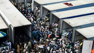 La factura mundial de importaci&oacute;n de alimentos subir&aacute; un 10% en 2022, advierte la FAO