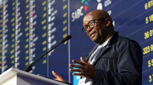 Afrique du Sud: l'ANC travaille &agrave; former une coalition