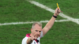 Rugby World Cup final referee Barnes retires after 111 internationals