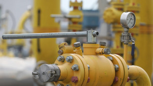 Il gas conclude in calo (-3%) a 31,5 euro al Megawattora
