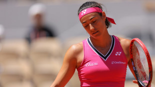 Roland-Garros: apr&egrave;s l'espoir, le flop des Bleus