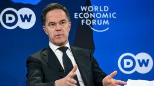 NATO chief says 'thoughtful diplomacy' only way to deal with Greenland crisis