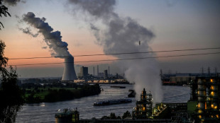 Viel Kritik vor Bundestagsabstimmung &uuml;ber Gesetz f&uuml;r neue Gaskraftwerke