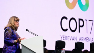 Casi 200 pa&iacute;ses pactan acelerar los esfuerzos para frenar la destrucci&oacute;n de la naturaleza