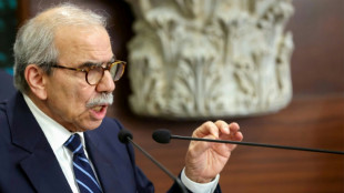 Liban: l'armée va mettre en oeuvre le plan de désarmement du Hezbollah, annonce le gouvernement