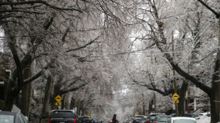 Temp&ecirc;te de verglas: Montr&eacute;al fig&eacute; sous la glace, importants d&eacute;g&acirc;ts mat&eacute;riels