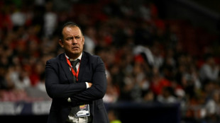 El t&eacute;cnico Reynoso, sorprendido por la agresi&oacute;n a jugadores de la selecci&oacute;n peruana