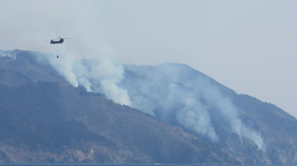 Le nord-est du Japon ravag&eacute; par son pire feu de for&ecirc;t depuis 1992