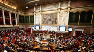 L'Assembl&eacute;e &eacute;lit ses vice-pr&eacute;sidents apr&egrave;s un vote chaotique, l'h&eacute;micycle s'enflamme d&eacute;j&agrave;