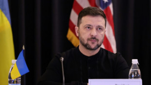 Selenskyj: Verb&uuml;ndete m&uuml;ssen angesichts Trump-Pr&auml;sidentschaft enger zusammenarbeiten