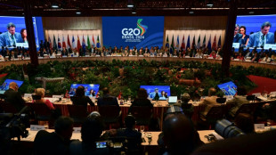 L'&eacute;pineuse question de la taxation des super-riches au menu du G20 &agrave; Rio