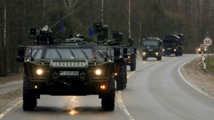 Grünen-Chefin Lang fordert "gute Ausstattung" der Bundeswehr