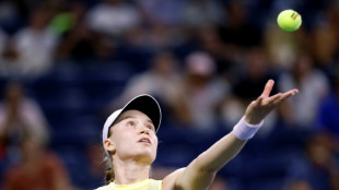 Efficient Rybakina reaches US Open third round