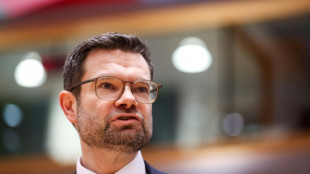 Buschmann hofft auf schnelle Umsetzung von Staatsb&uuml;rgerschaftsrechts-Reform