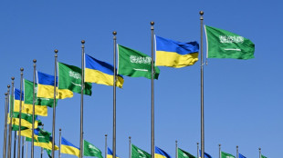 A Jeddah, Kiev va présenter aux Etats-Unis un plan de cessez-le-feu partiel avec Moscou