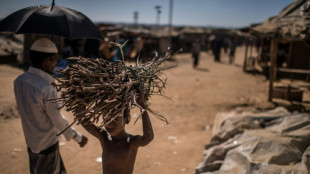 Refugiados rohingyas depositam suas esperanças em Bangladesh para voltarem para casa