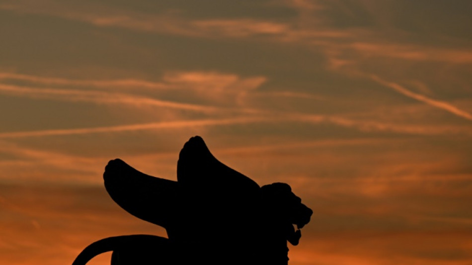 Le Lion d'or d&eacute;cern&eacute; &agrave; Venise, &eacute;pilogue d'une Mostra sans ses stars