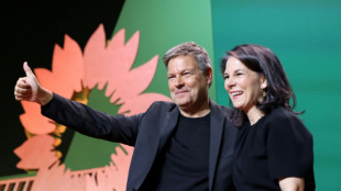 Gr&uuml;ne wollen bei Bundesparteitag in Berlin Wahlprogramm beschlie&szlig;en