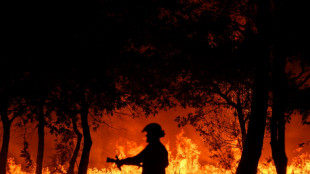 Haute-Corse: un incendie ayant parcouru 200 hectares ma&icirc;tris&eacute;