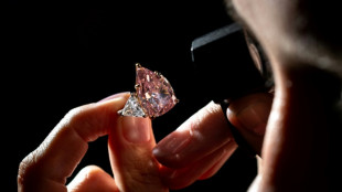La subasta del diamante rosa "Fortune Pink" alcanza los 28,5 millones de d&oacute;lares