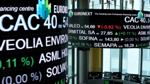 La Bourse de Paris dans le vert apr&egrave;s une pluie de r&eacute;sultats