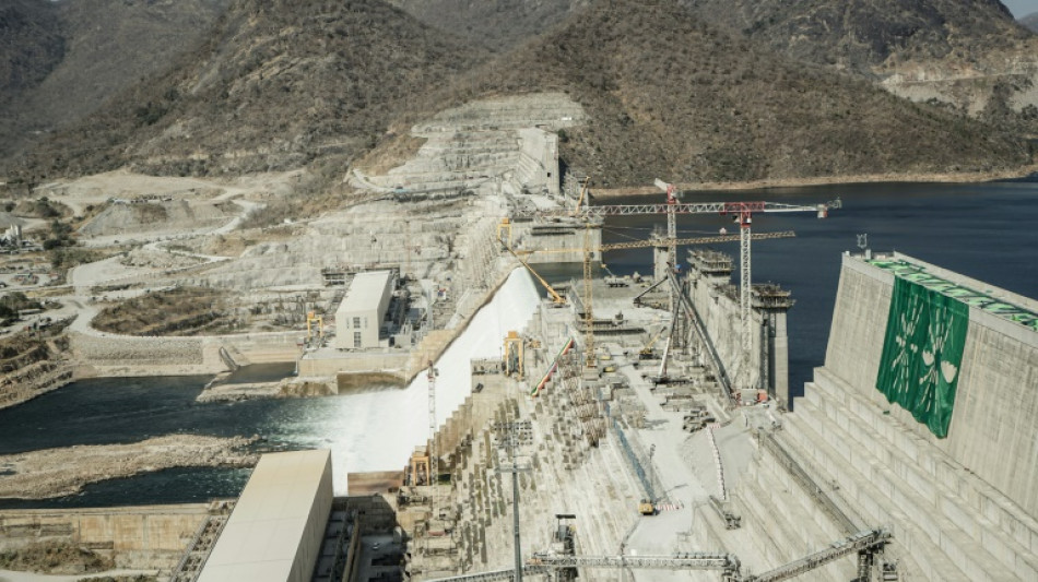 L'Ethiopie annonce doubler la production de son m&eacute;gabarrage sur le Nil
