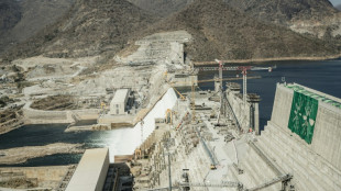 L'Ethiopie annonce doubler la production de son m&eacute;gabarrage sur le Nil