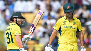 Australia's Warner, Marsh in 259-run opening stand against Pakistan at World Cup