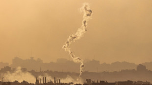 Une "conf&eacute;rence humanitaire" sur Gaza s'ouvre &agrave; Paris