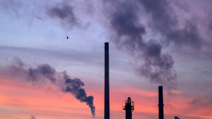 Habeck startet europaweit erstes Gebotsverfahren für Klimaschutzverträge